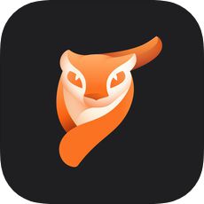 小狐狸Pixaloop安卓版